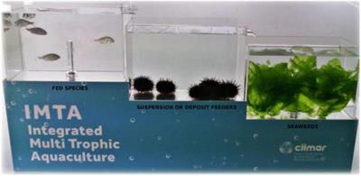 Integrated Multi-Trophic Aquaculture: A Laboratory and Hands-on Experimental Activity to Promote Environmental Sustainability Awareness and Value of Aquaculture Products